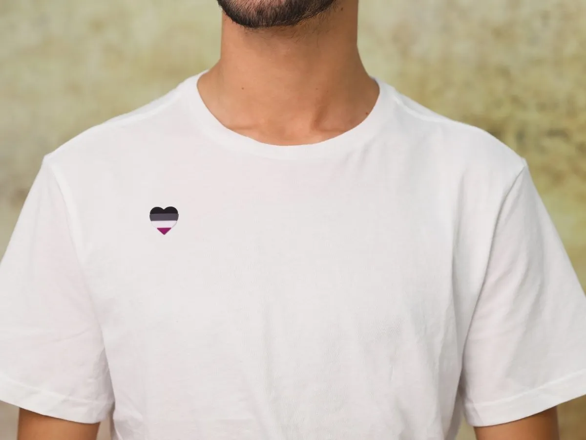 Asexual Flag Heart Silicone Pins